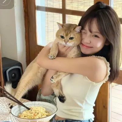【高分生活剧】《西瓜》小林聪美超清在线：四个不同性格的女人在合租屋里的清凉夏日，豆瓣9.3治愈神作